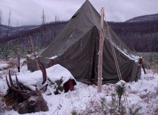 Don’t Forget Your Short Game! shortgame 3